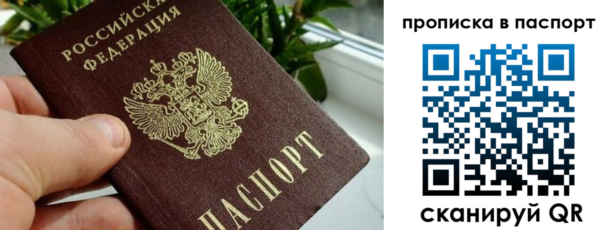 временная регистрация купить в Галиче
